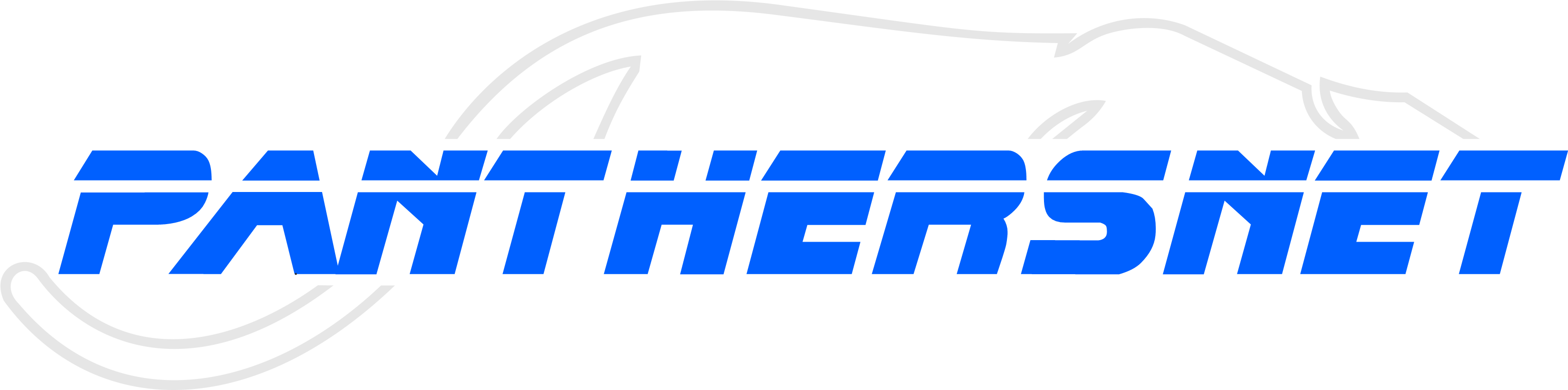 panthersnet.ch